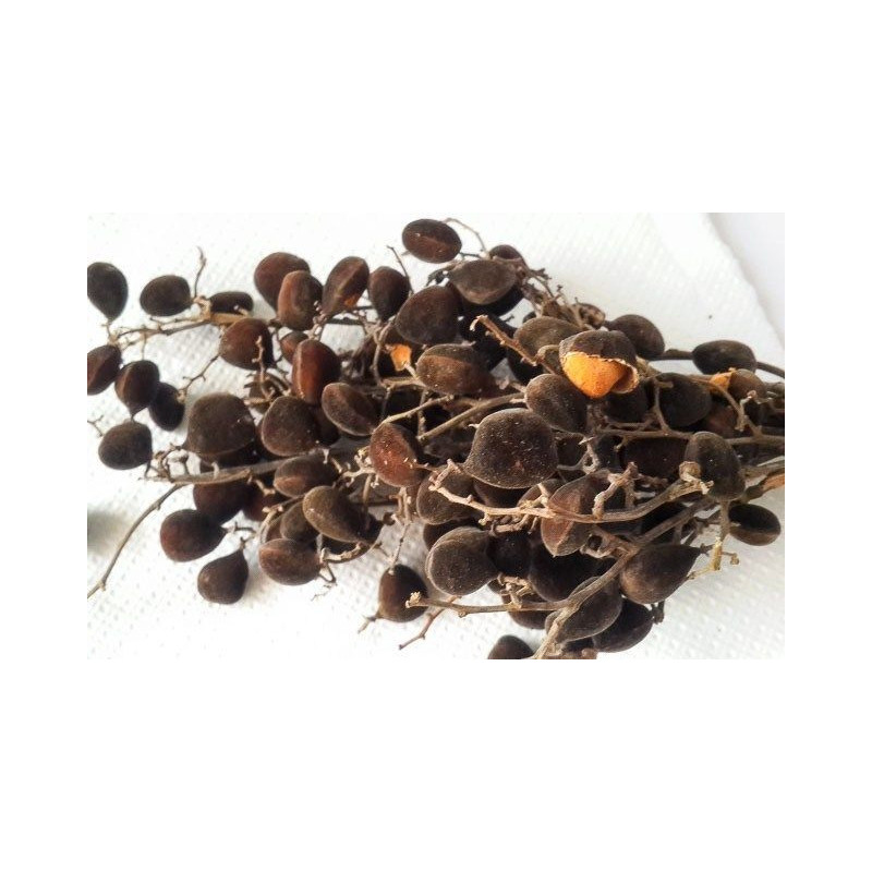 Velvet Tamarind (Icheku Awin) 150g