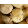 Pack of 4 - Dumplings