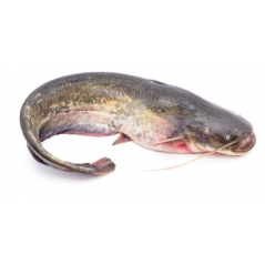 Whole Catfish Bag 2.2kg