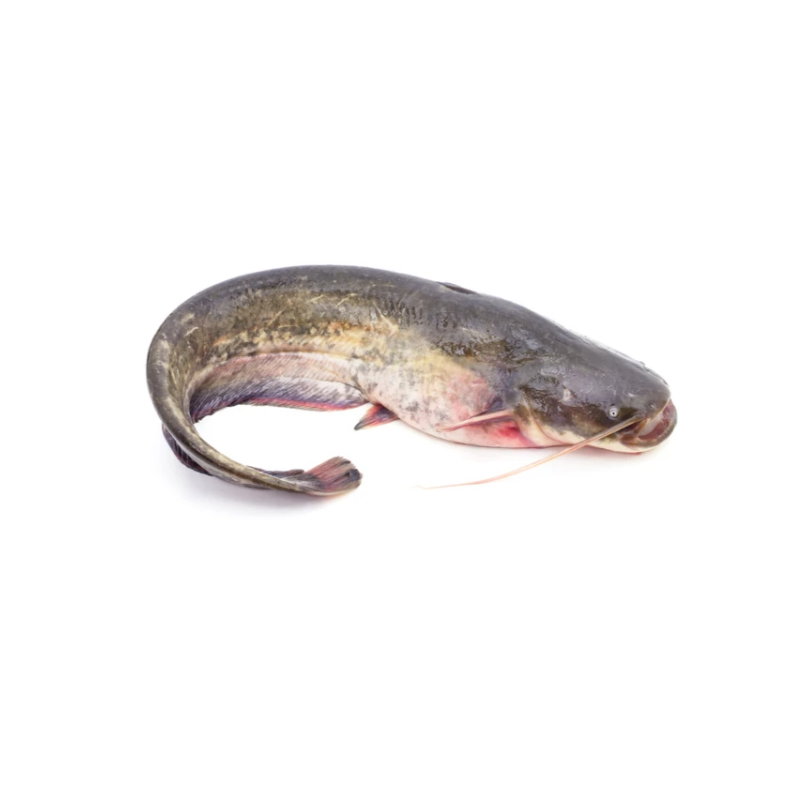 Whole Catfish Bag 2.2kg