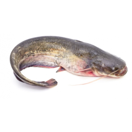 Whole Catfish Bag 2.2kg