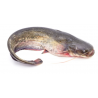 Whole Catfish Bag 2.2kg