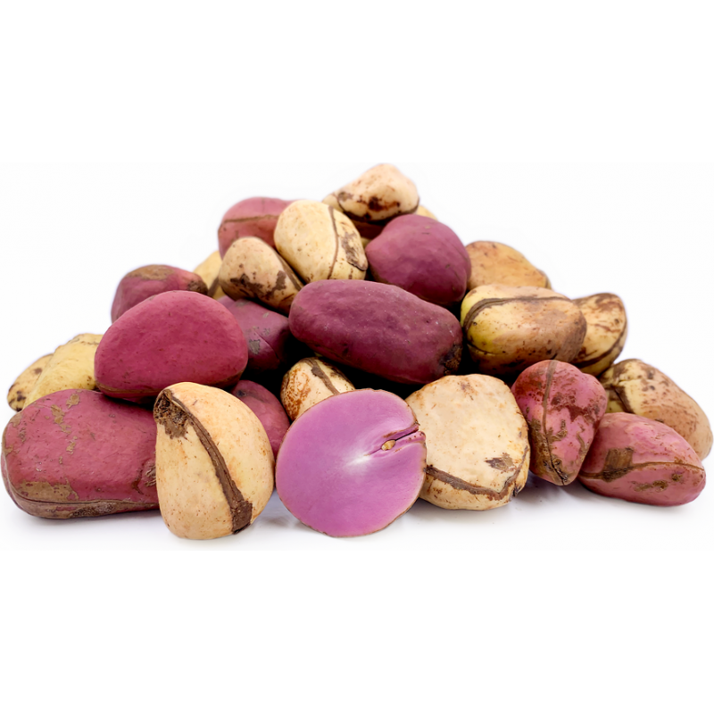 Kolanut (1 piece) Kola Nut