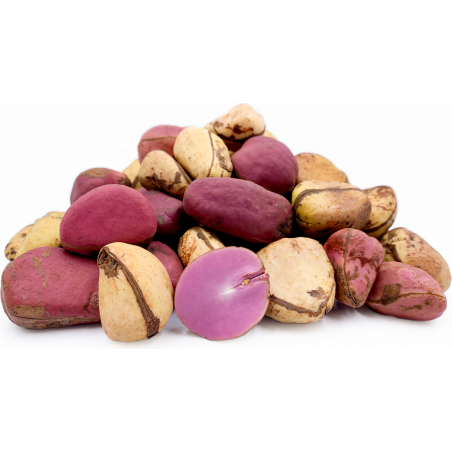 Kolanut (1 piece) Kola Nut