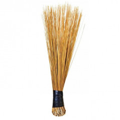 African Broom
