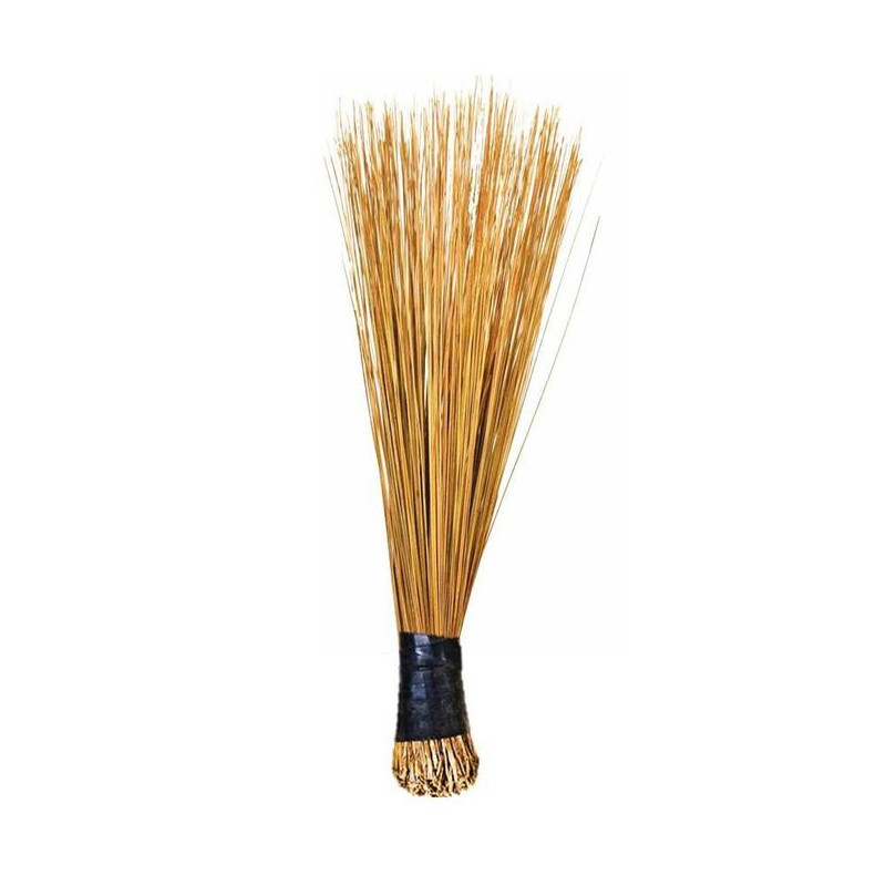 African Broom