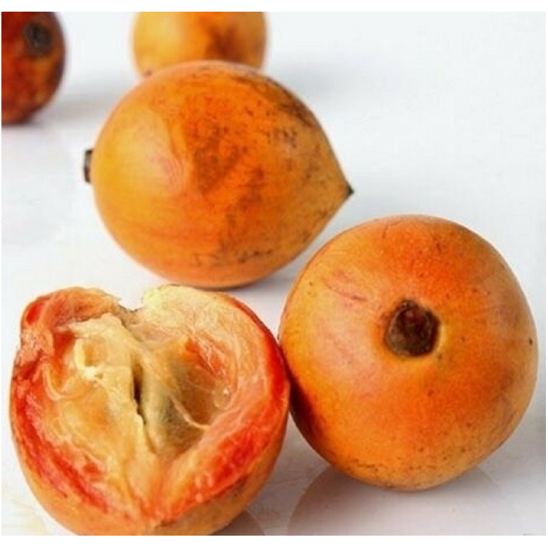Agbalumo (African Star Apple/ Nwannu/ Udara)
