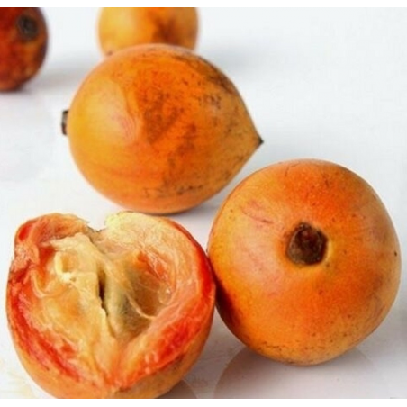 Agbalumo (African Star Apple/ Nwannu/ Udara)
