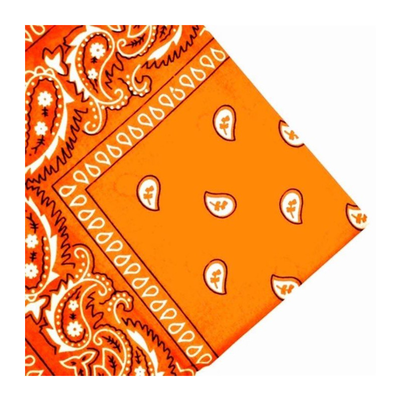 Orange Paisley Bandana