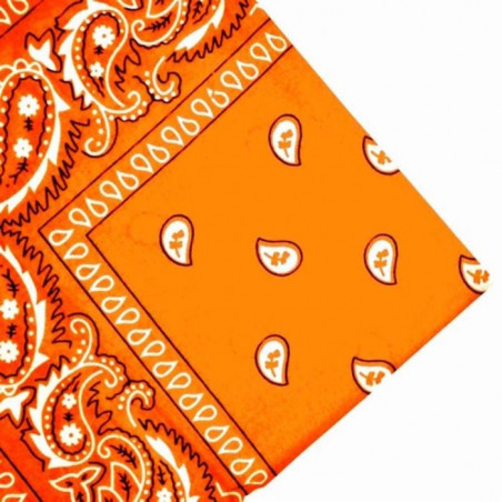 Orange Paisley Bandana