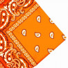 Orange Paisley Bandana