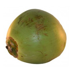 Jelly Coconut