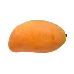Mango (Hayden) - 1 piece