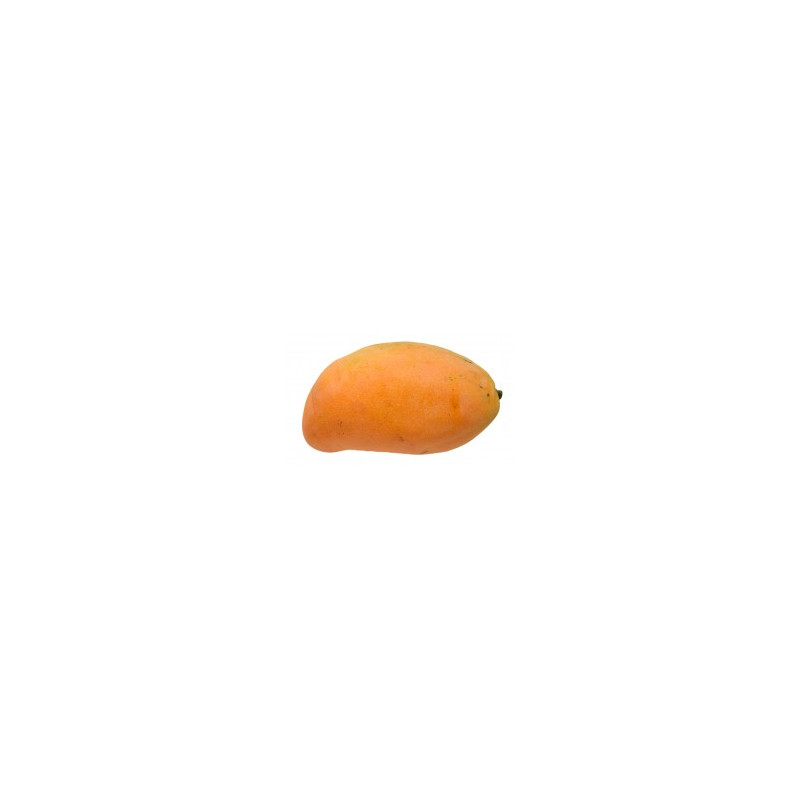 Mango (Hayden) - 1 piece