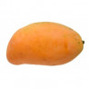 Mango (Hayden) - 1 piece
