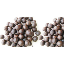 Nigerian Walnut/ Asala/...
