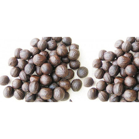 Nigerian Walnut/ Asala/ Awusa Uncooked 300g