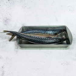 Original Mackerel/ Titus (3...