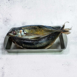 Large Horse Mackerel/ Jack/...