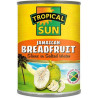 TS Jamaican Breadfruit in Salted Water