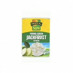 TS Young Green Jackfruit in...