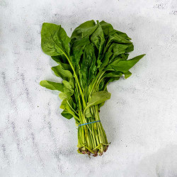 Fresh Spinach Bunch