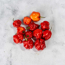 Scotch Bonnet Rodo Pack...