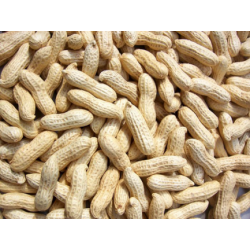 Fresh Peanut/ Ground Nuts 400g