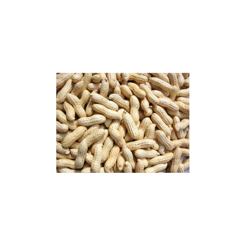 Fresh Peanut/ Ground Nuts 400g