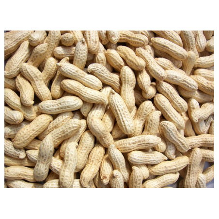 Fresh Peanut/ Ground Nuts 400g