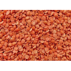 SU Red Lentil 1kg