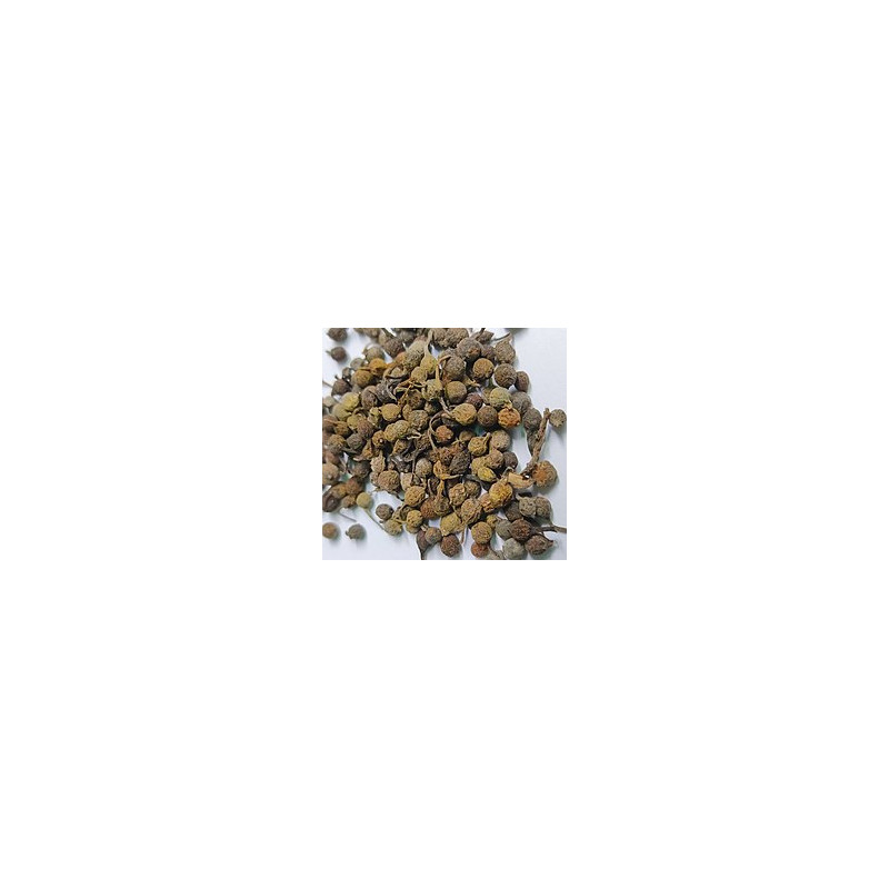 B-Janko Esoro Wisa (West African Black Pepper) 50g