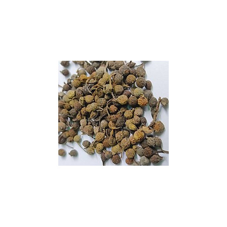B-Janko Esoro Wisa (West African Black Pepper) 50g