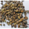 B-Janko Esoro Wisa (West African Black Pepper) 50g