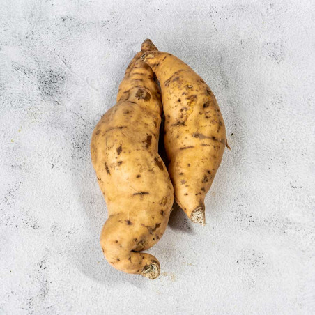 African White Sweet Potatoes