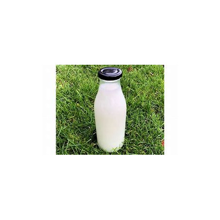 Stera Whole Sterilised Milk 500ml