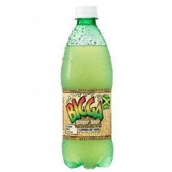 Bigga Ginger Beer 600ml