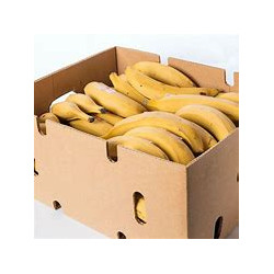 Yellow Plantain Half Box...