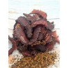 Biltong Pepper and Garlic 100g