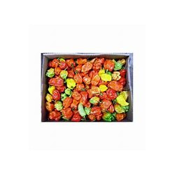 Scotch Bonnet Rodo (Hot...