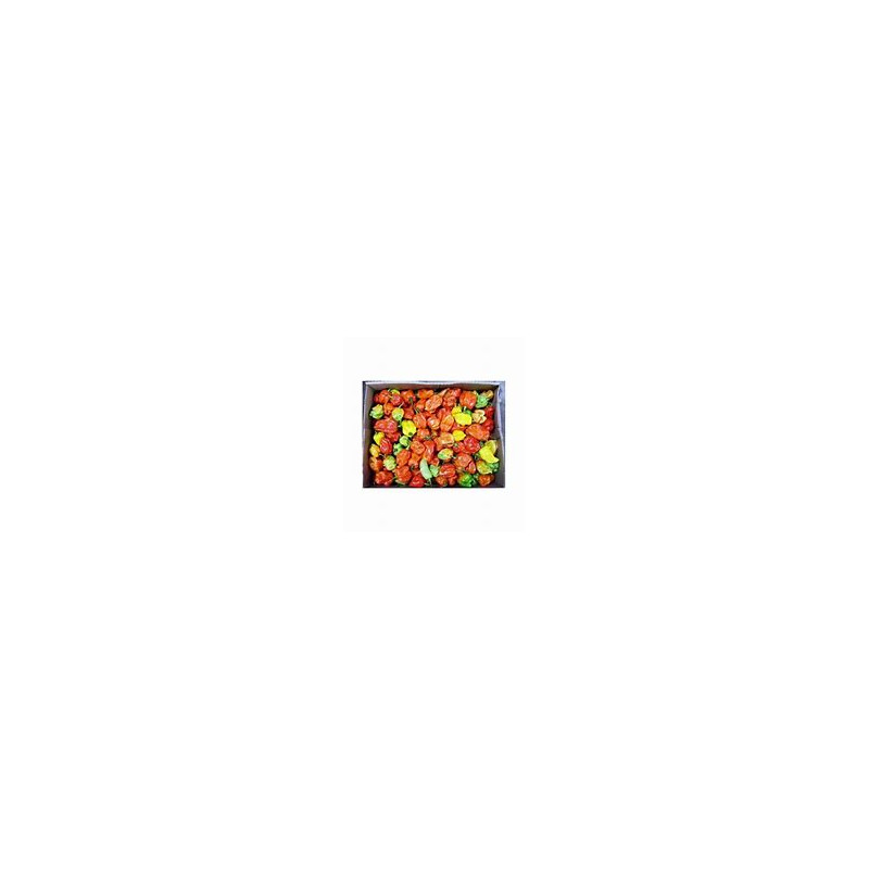 Scotch Bonnet Rodo (Hot Pepper) Half Box