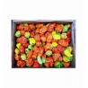 Scotch Bonnet Rodo (Hot Pepper) Half Box