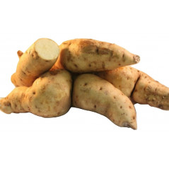African White Sweet Potatoes