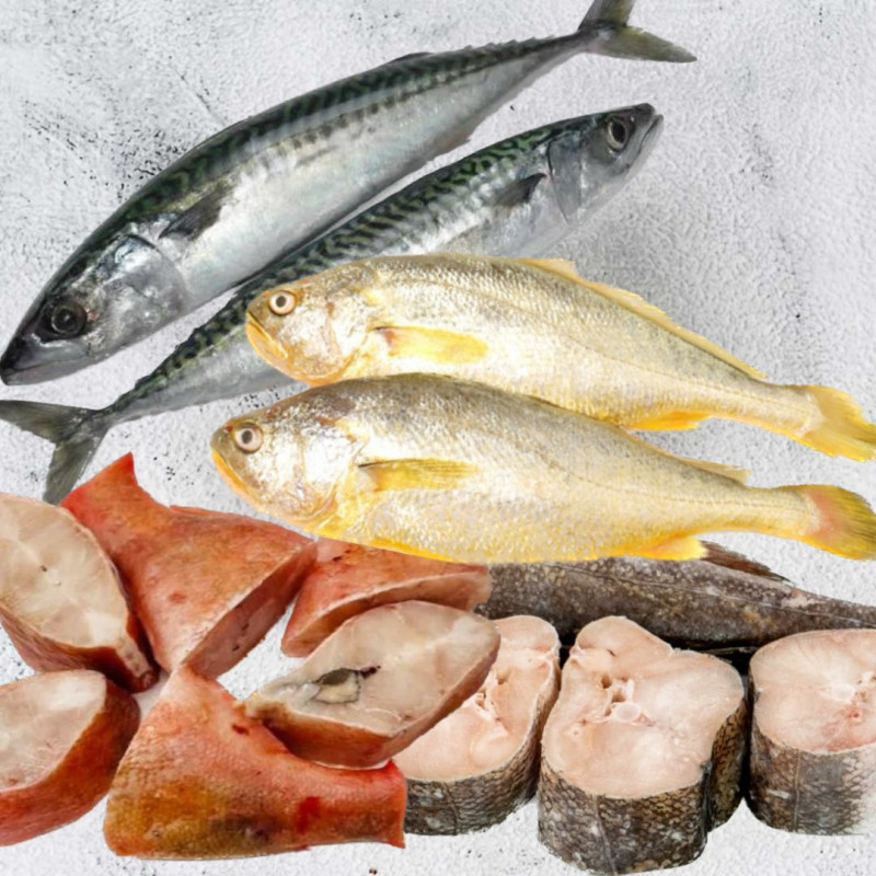 Fisherman Bundle