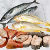 Fisherman Bundle