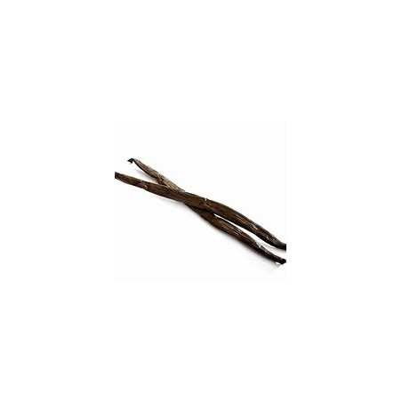 TS Vanilla Pod 3g