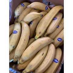 Pack of 3 - Yellow Plantain