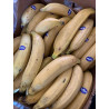 Pack of 3 - Yellow Plantain