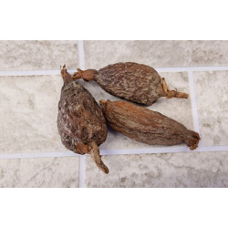 Alligator Pepper/ Mbongo/ Hepper Spice  (1 Pod)