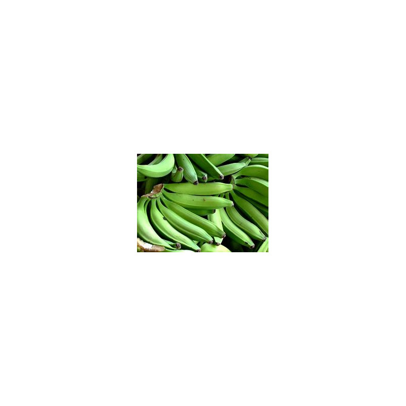 Green Plantain Half Box (please read description carefully)